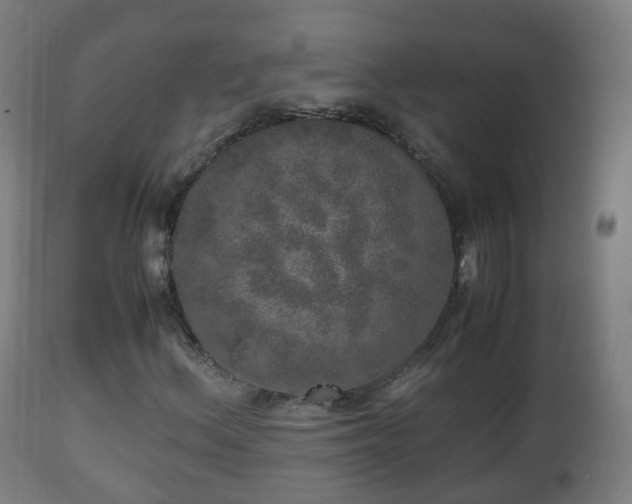 X0000112491156200908241319