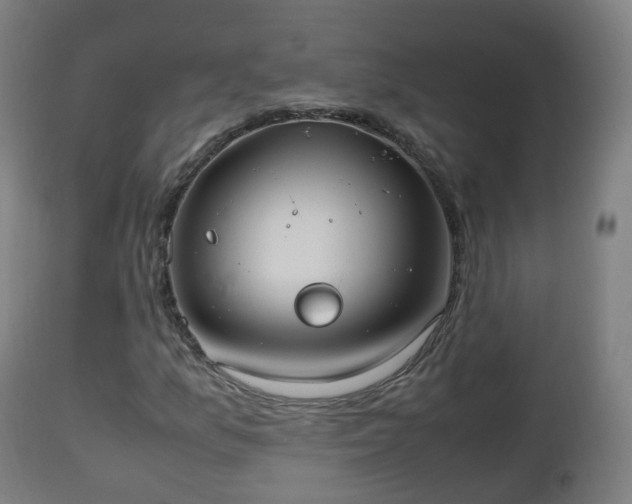 X0000112491157200908241319