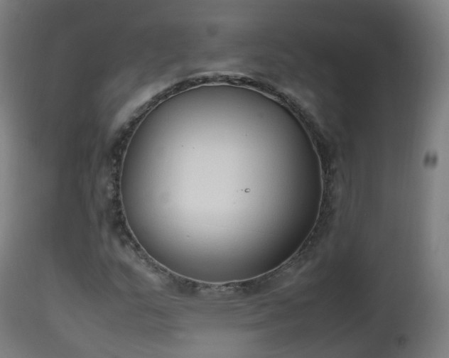 X0000112491159200908241319