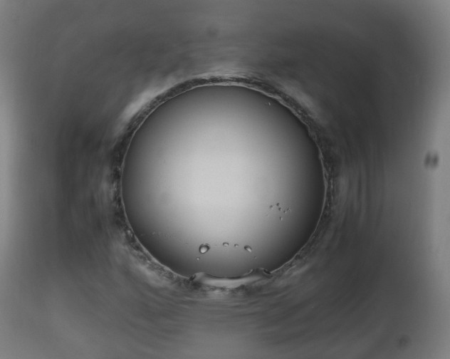 X0000112491160200908241319