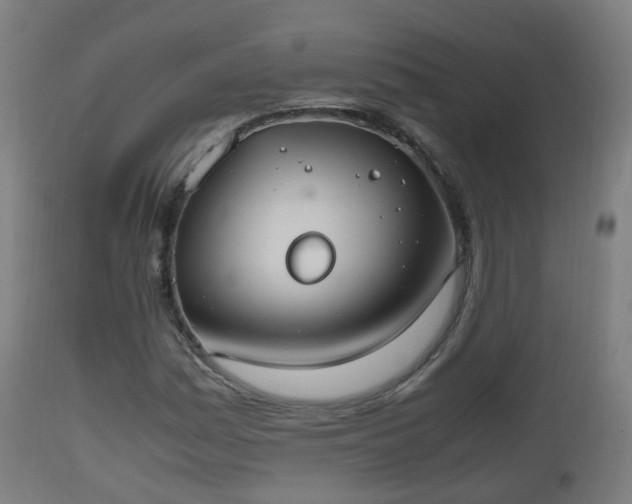 X0000112491161200908241319