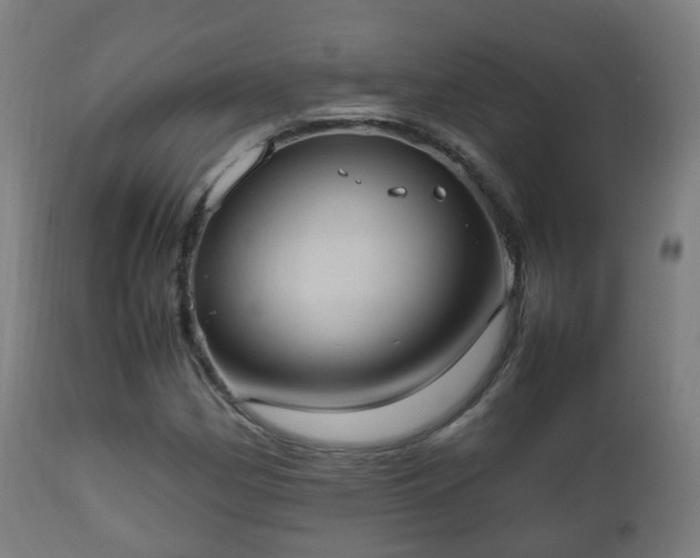 X0000112491162200908241319