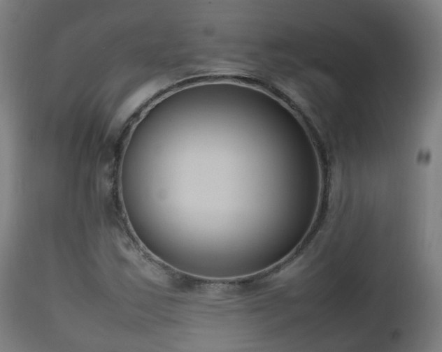 X0000112491163200908241319