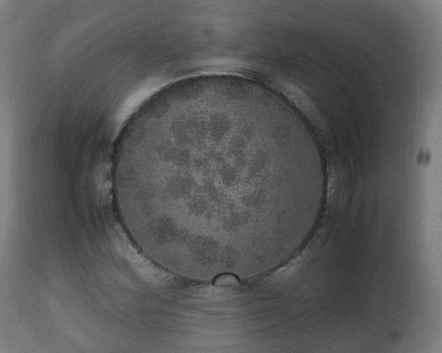 X0000112491164200908241319