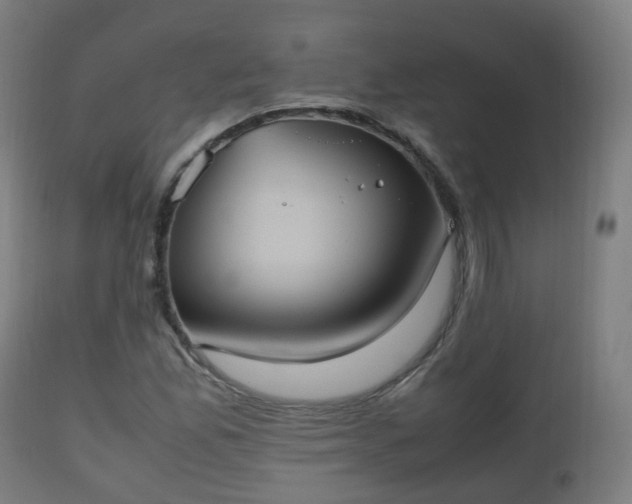 X0000112491165200908241319