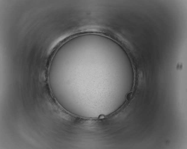 X0000112491166200908241319