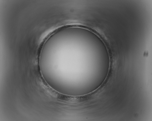 X0000112491167200908241319