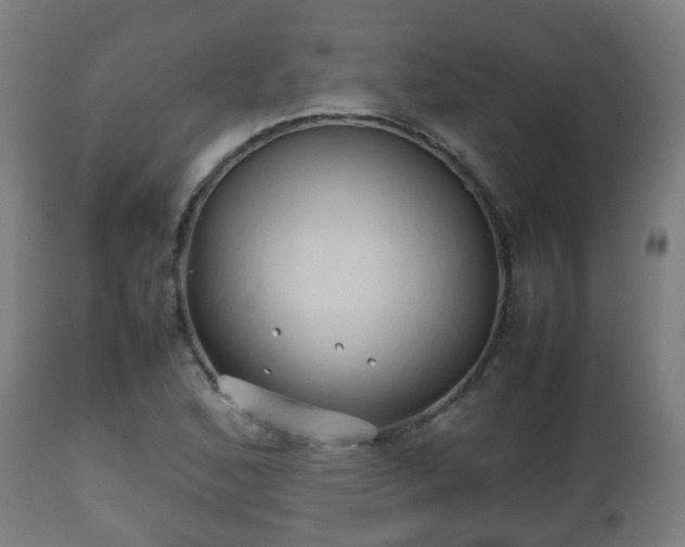 X0000112491168200908241319