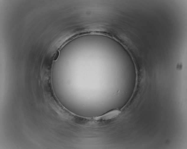 X0000112491169200908241319