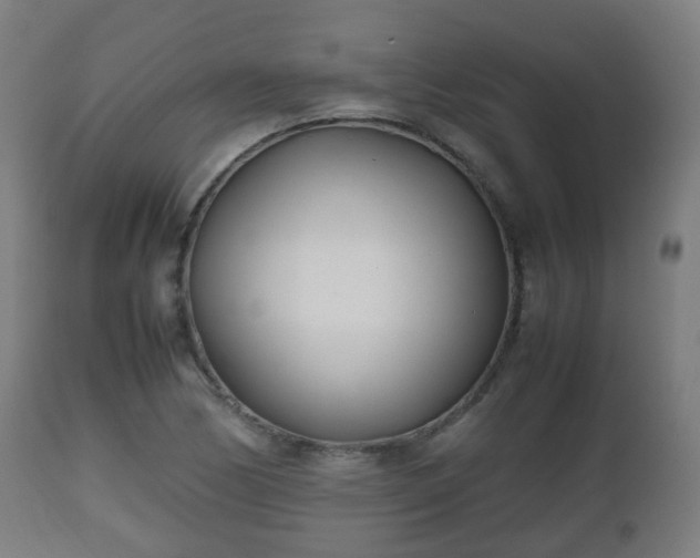 X0000112491170200908241319