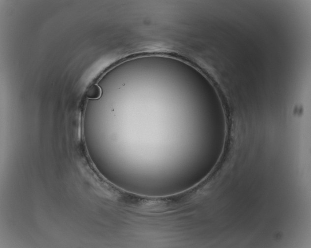 X0000112491171200908241319