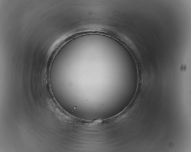 X0000112491172200908241319