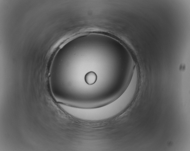 X0000112491173200908241319