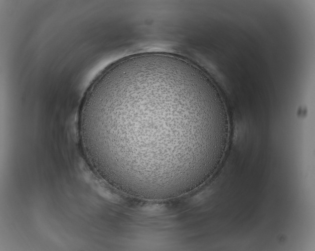 X0000112491174200908241319