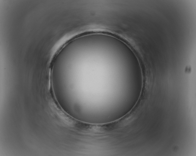 X0000112491175200908241319