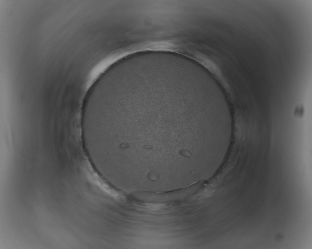 X0000112491176200908241319