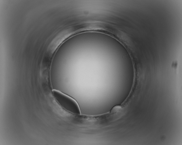 X0000112491177200908241318