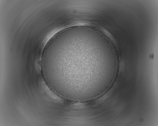 X0000112491178200908241318