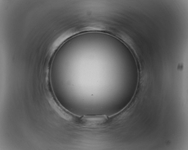 X0000112491179200908241318