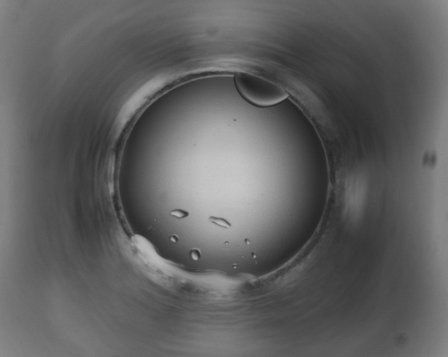 X0000112491180200908241318