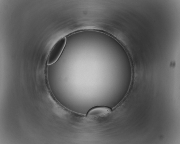 X0000112491181200908241318