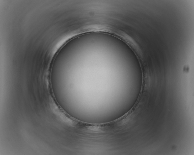 X0000112491182200908241318