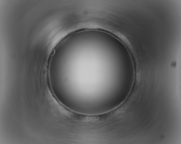 X0000112491183200908241318