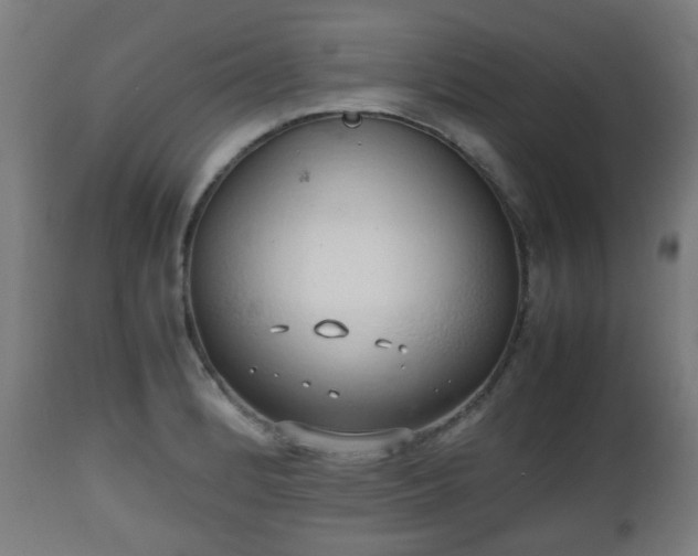 X0000112491184200908241318