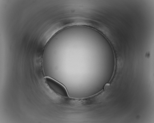 X0000112491185200908241318