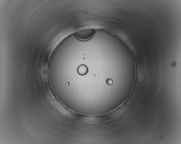 X0000112491186200908241318