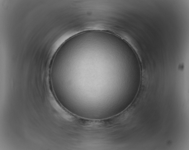 X0000112491187200908241318