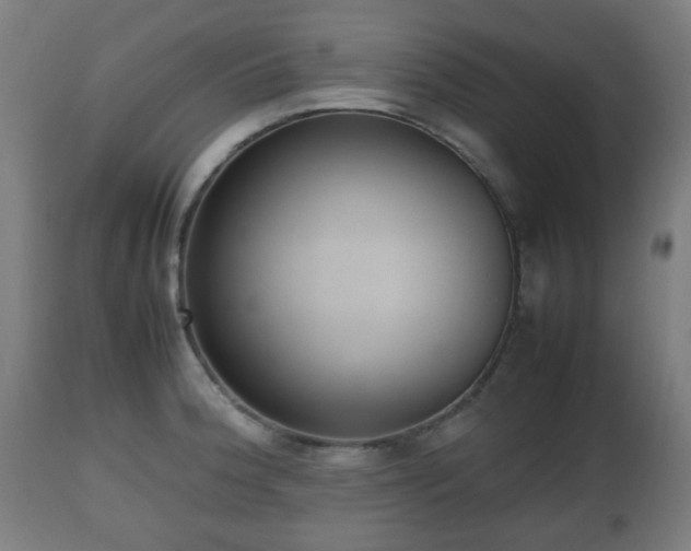 X0000112491188200908241318