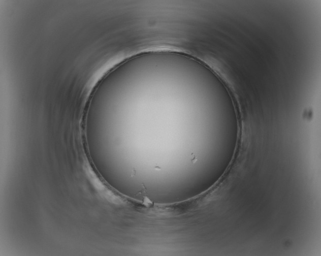 X0000112491189200908241318