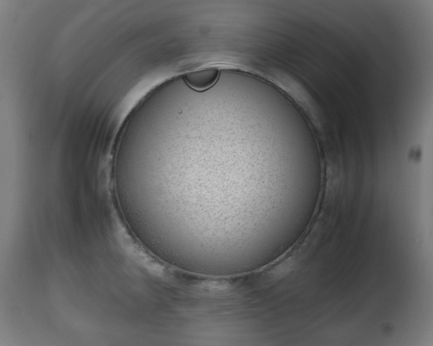 X0000112491190200908241318