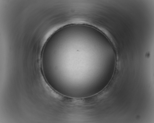 X0000112491191200908241318