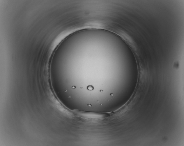 X0000112491192200908241318