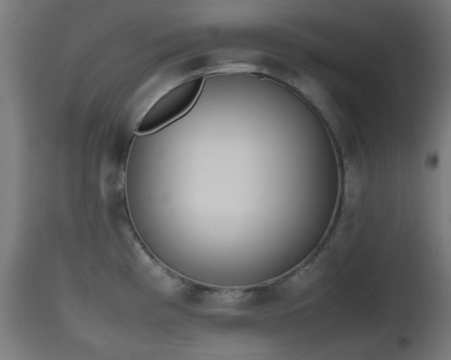 X0000112491193200908241318