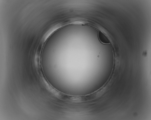 X0000112491194200908241318