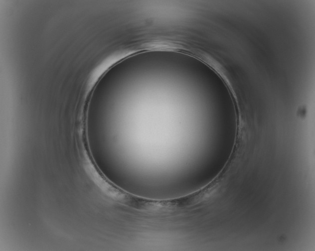 X0000112491195200908241318