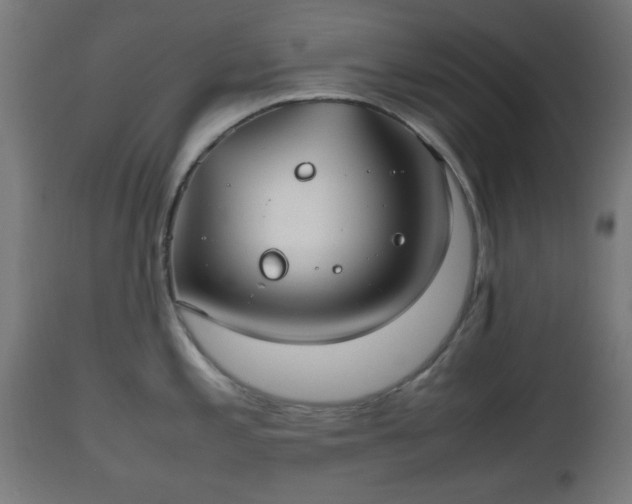 X0000112491197200908241318