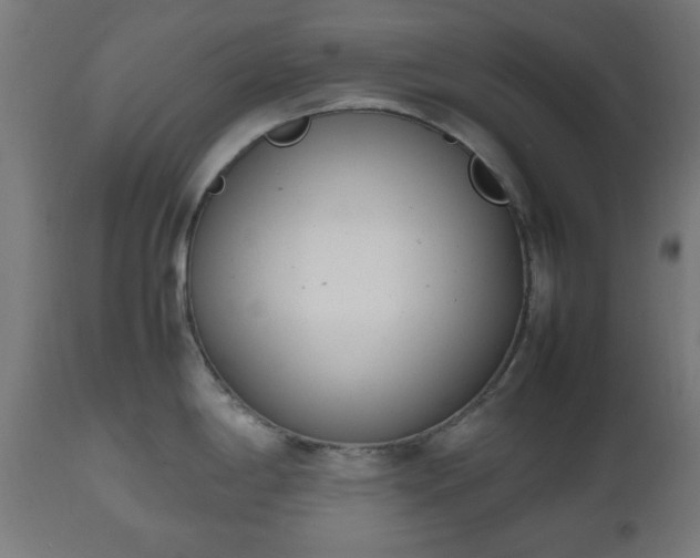 X0000112491198200908241318