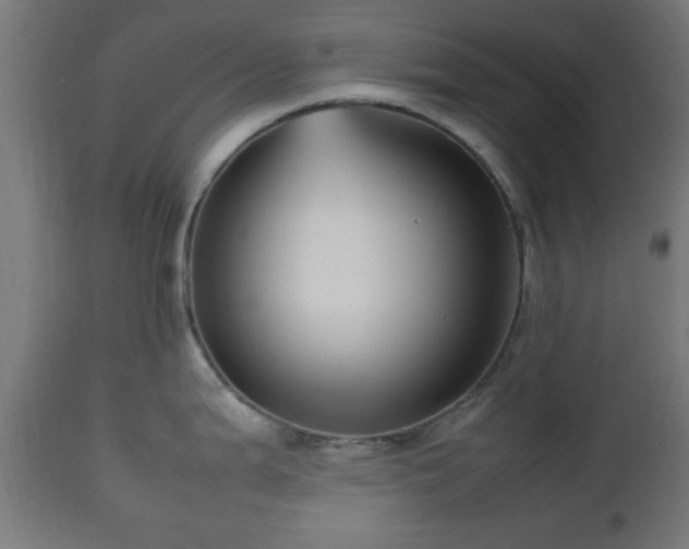 X0000112491199200908241318