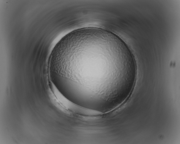 X0000112491200200908241318