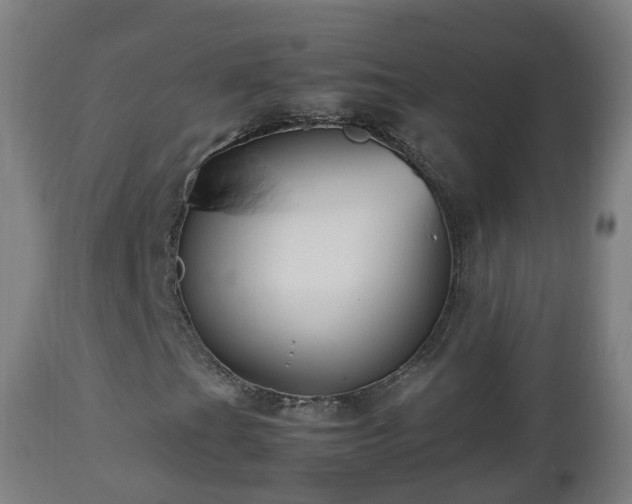 X0000112491201200908241318