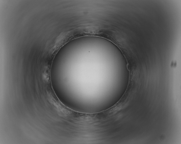 X0000112491202200908241318