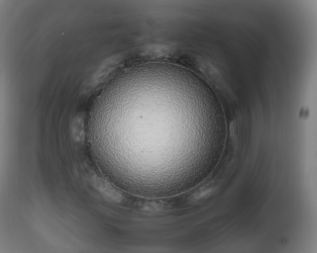 X0000112491203200908241318