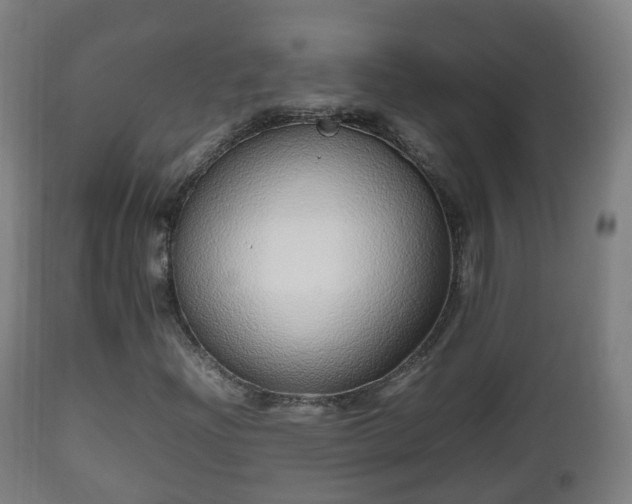 X0000112491204200908241318