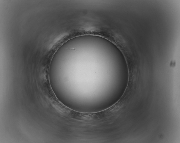 X0000112491205200908241318