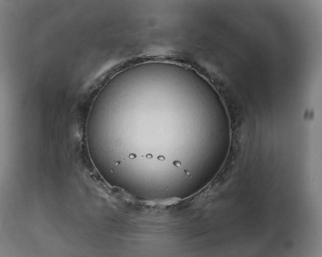 X0000112491206200908241318