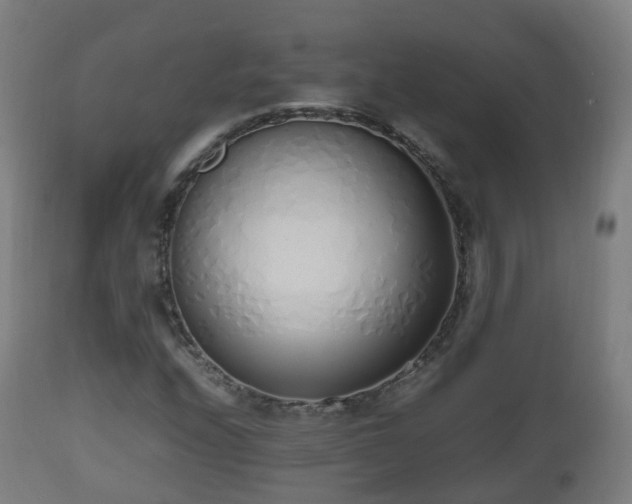 X0000112491208200908241318